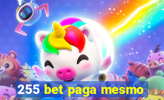 255 bet paga mesmo